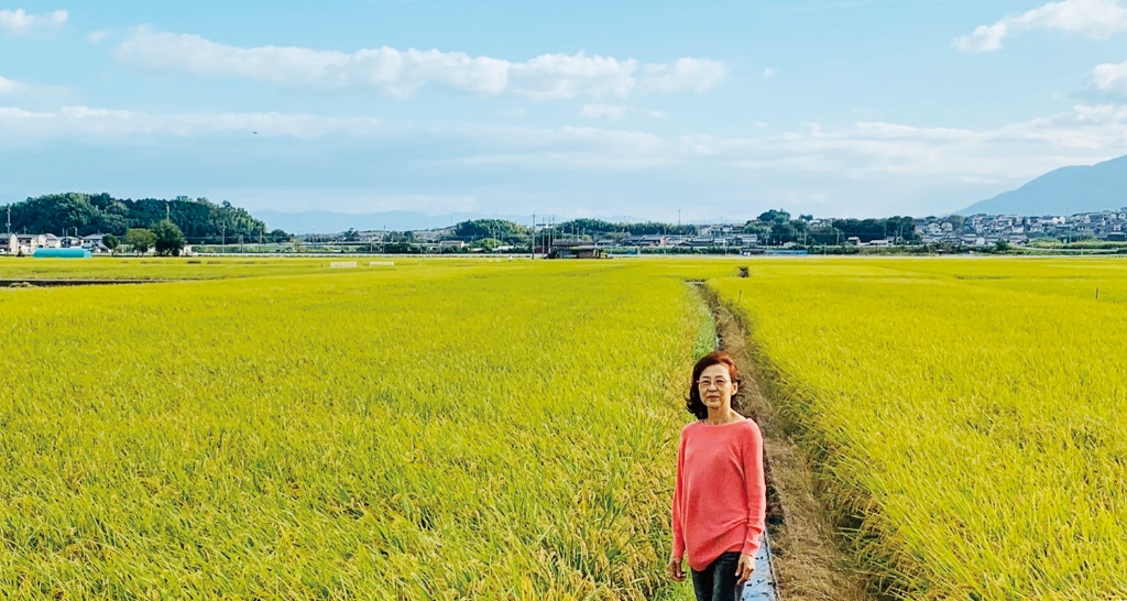 奈良・斑鳩エリア